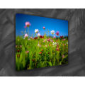 Gallery Wrap Stretched Canvas Prints